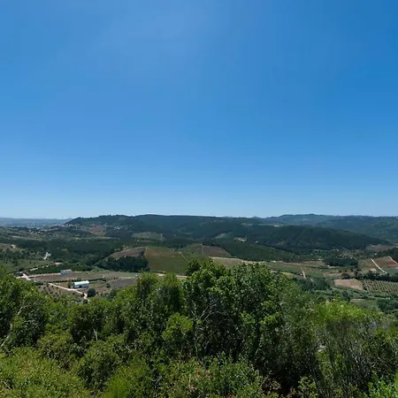 Bee Moinho * Sobral da Abelheira